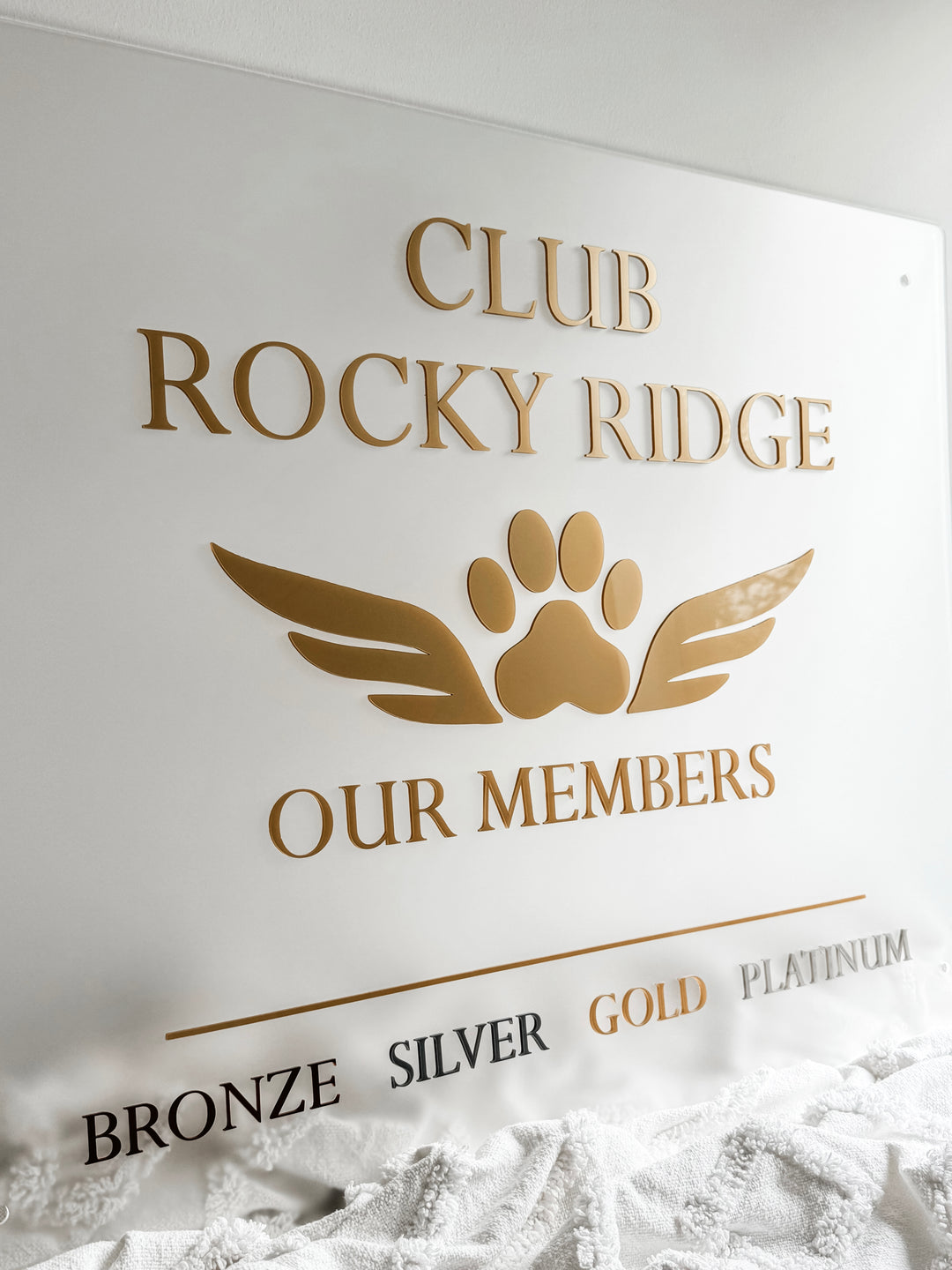 Rectangle Acrylic Logo Sign