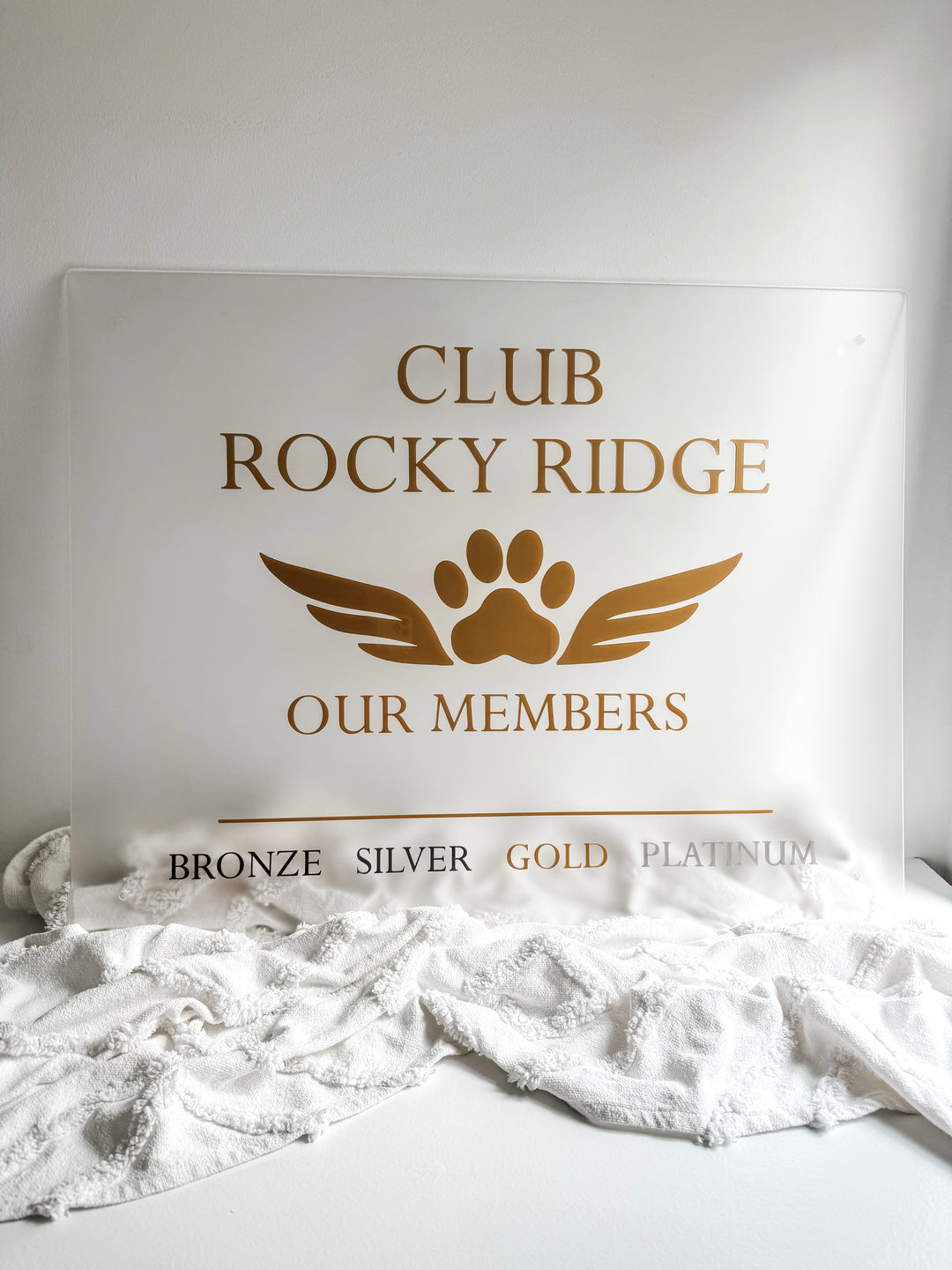 Rectangle Acrylic Logo Sign