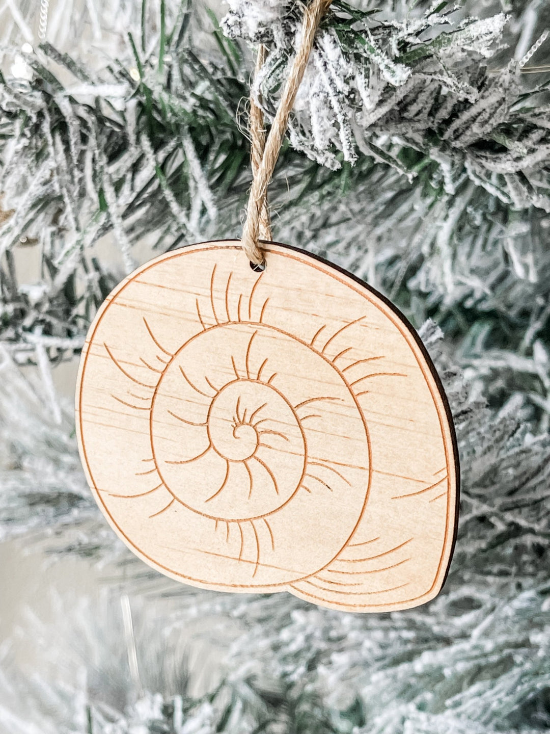 Beach Ornament - Shark Eye - The Humble Gift Co.