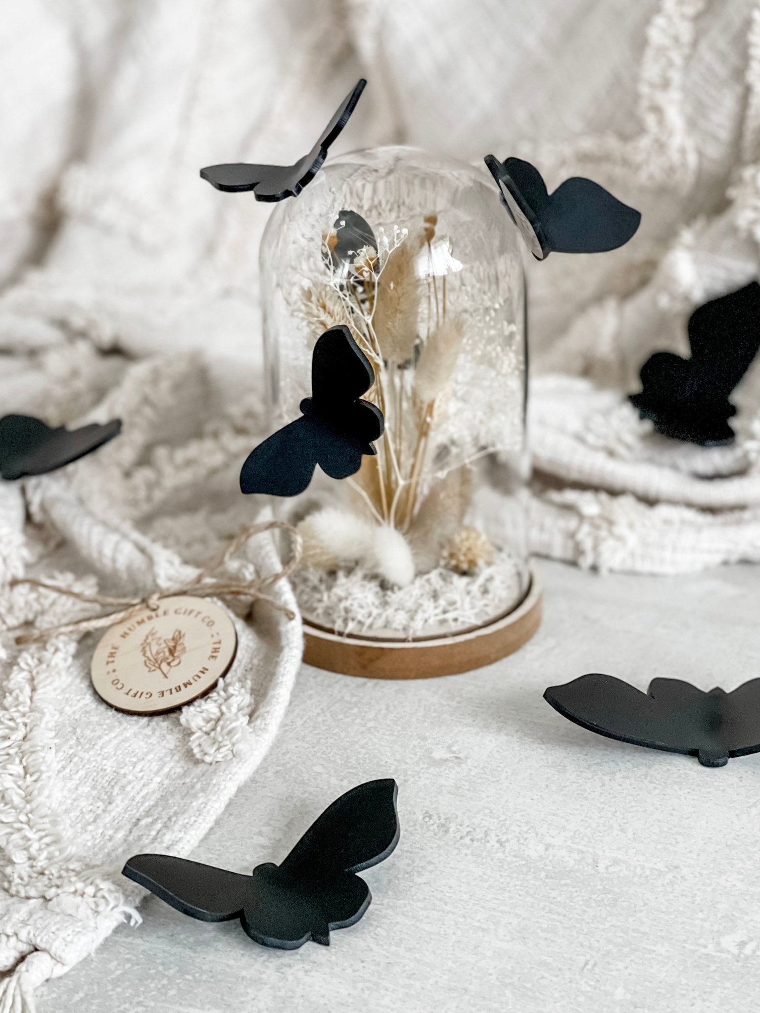 Black Acrylic Moth Sets - The Humble Gift Co.