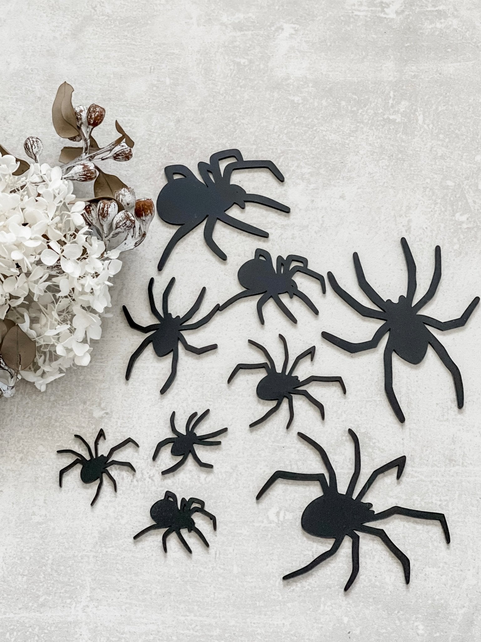 Black Acrylic Spider Sets - The Humble Gift Co.