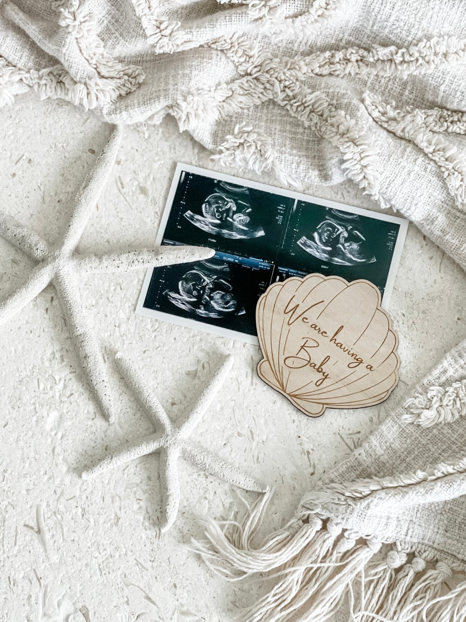 Pregnancy Milestone Discs - Clam Shell Shape - The Humble Gift Co.
